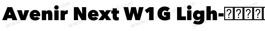 Avenir Next W1G Ligh字体转换